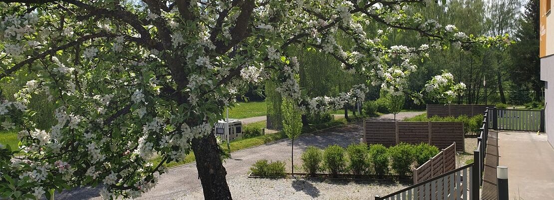 Camping Waldenstein — photo 3