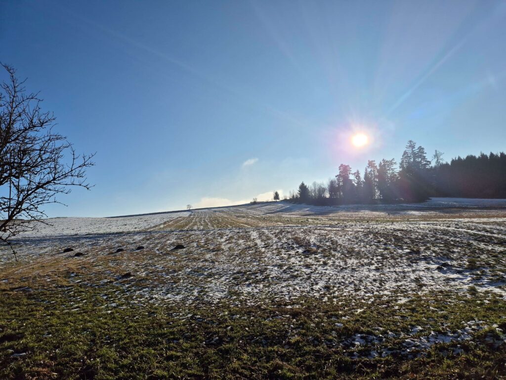 Feld mit Schneeresten im Sonnenlicht